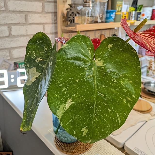 kolo92さんの部屋