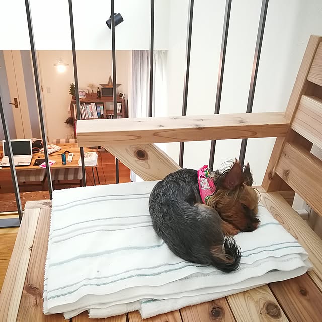 YOSHI31さんの実例写真