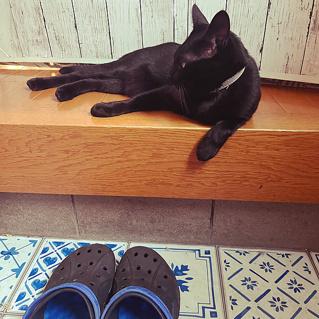 jijiさんの部屋