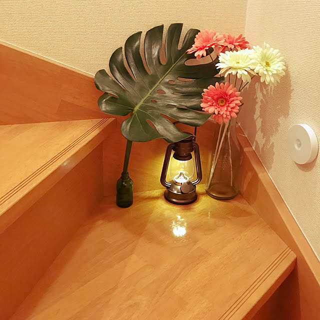 aymさんの実例写真