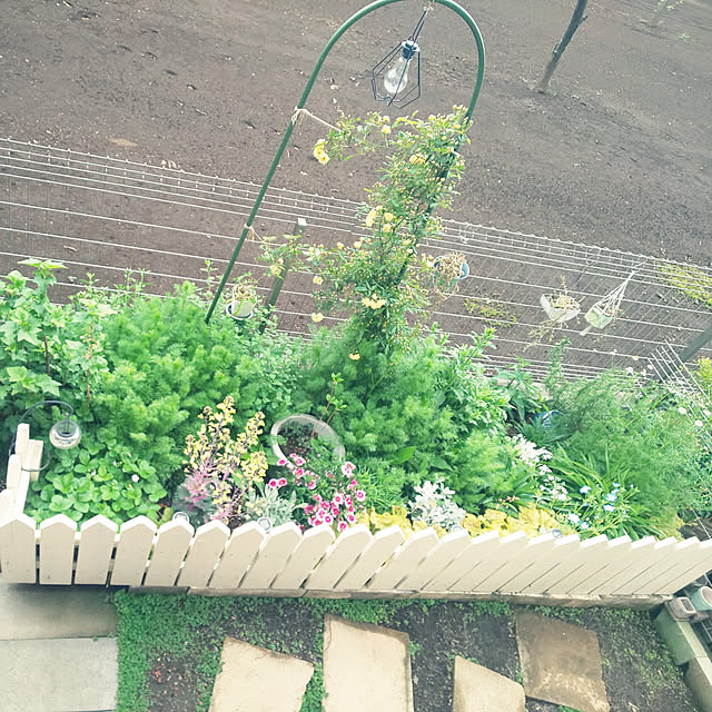mmpoohさんの実例写真