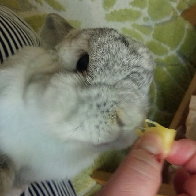 hana.rieさんの実例写真