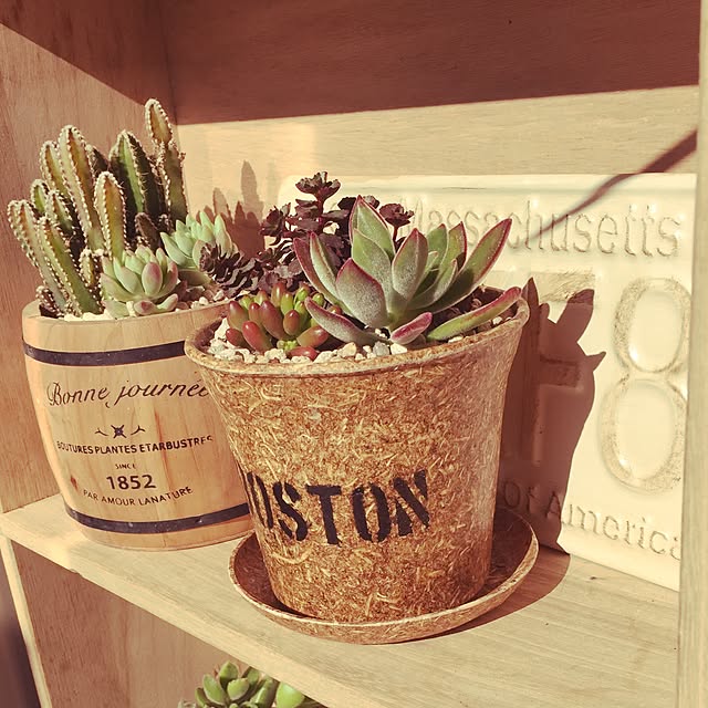 Good.smileさんの実例写真