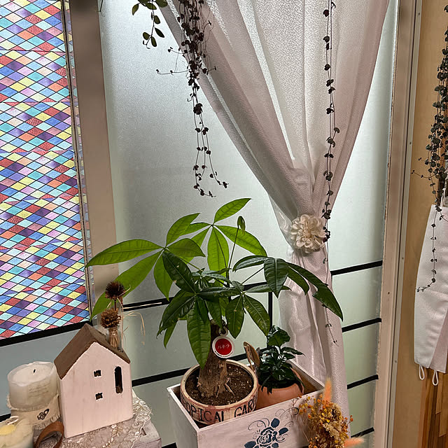 Fumiさんの実例写真