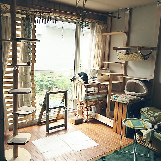 SHIHOさんの実例写真