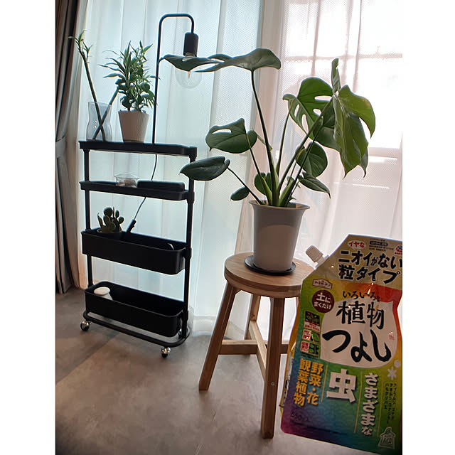 pippiさんの部屋