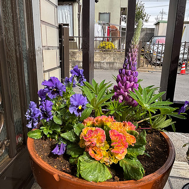 Smilkazuさんの部屋