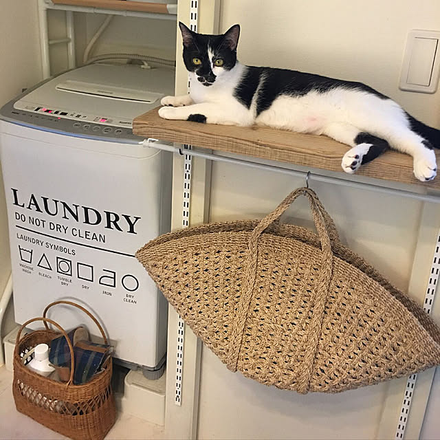 mikomaruさんの実例写真