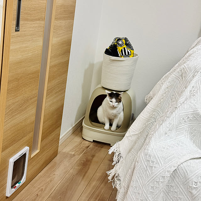 miiさんの実例写真