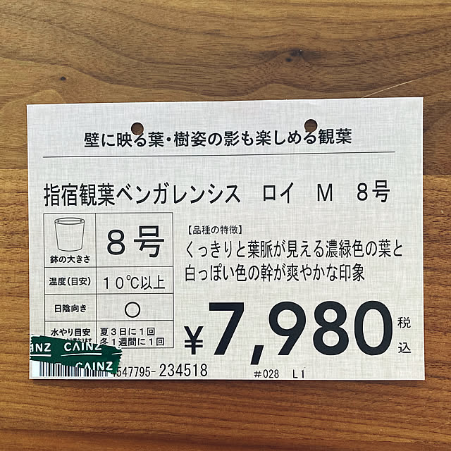 matthewさんの部屋