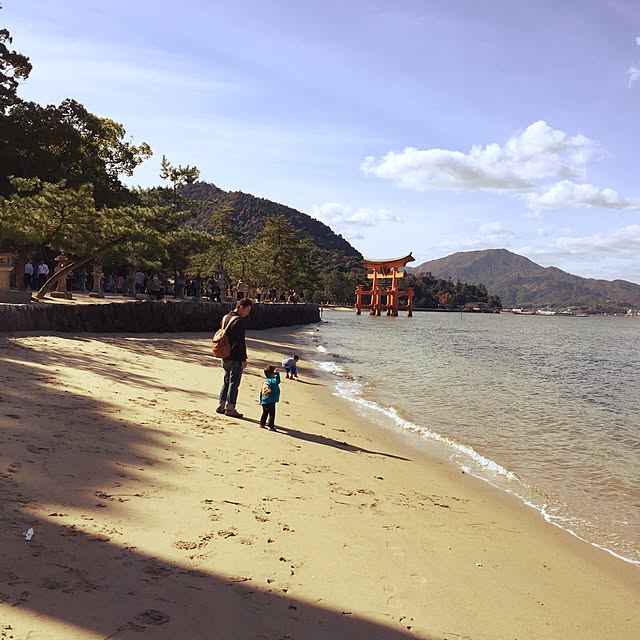 実例写真