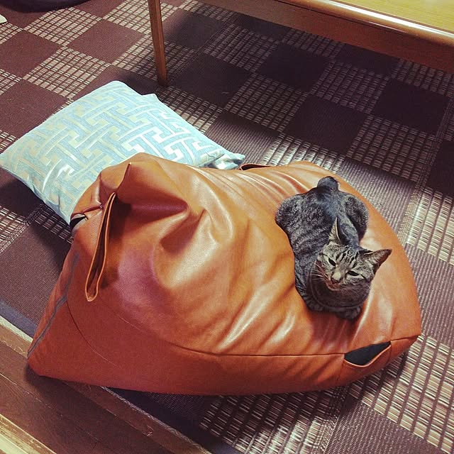 Mikaさんの実例写真