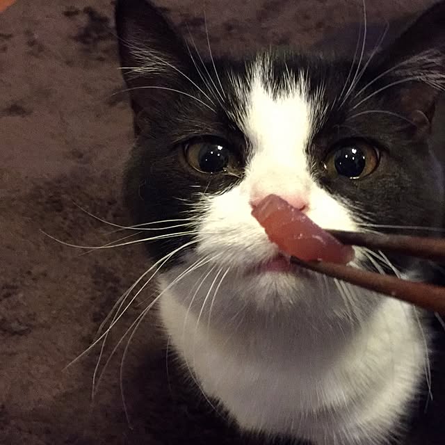 butachanさんの実例写真