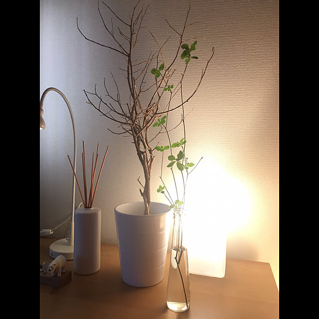 kentatomさんの実例写真