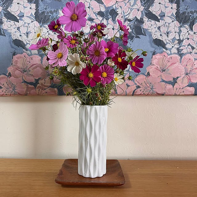 mizucchiさんの部屋