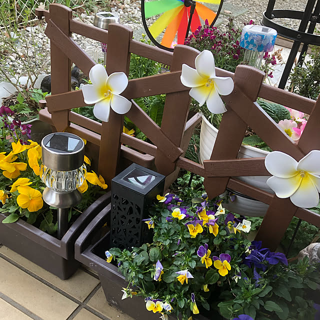 satooさんの実例写真