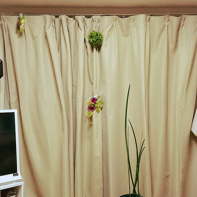 dokkypomさんの実例写真
