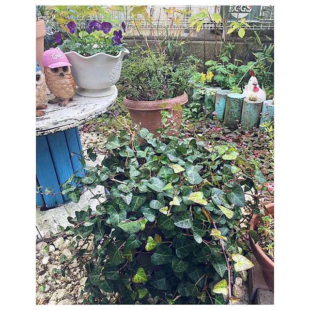 CoCo0617さんの部屋