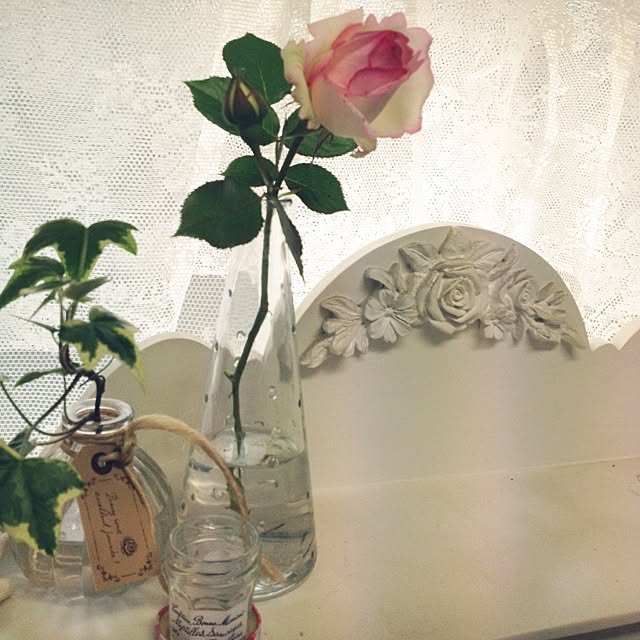 mielさんの実例写真