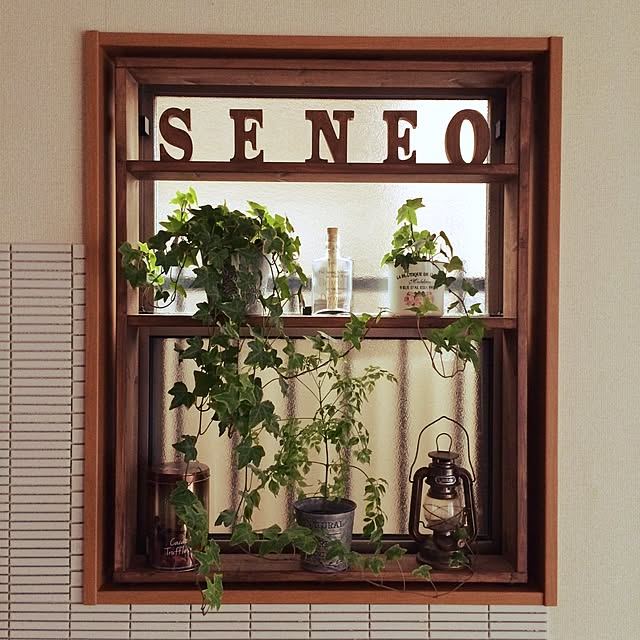seneoさんの実例写真