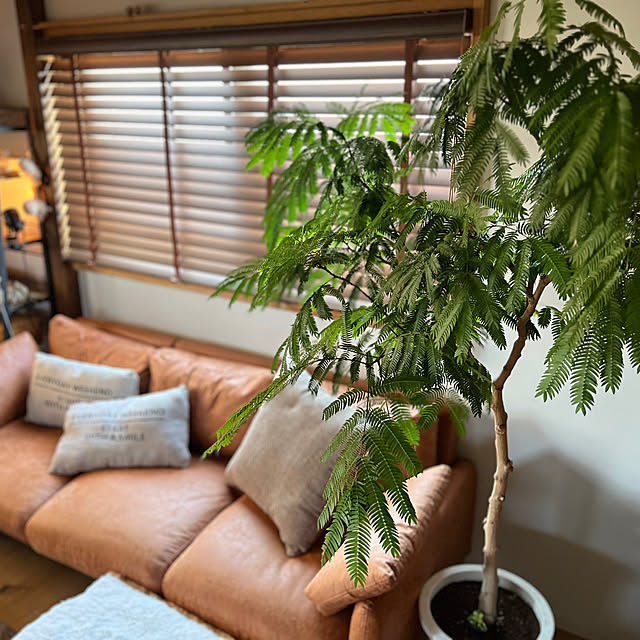 maronさんの部屋