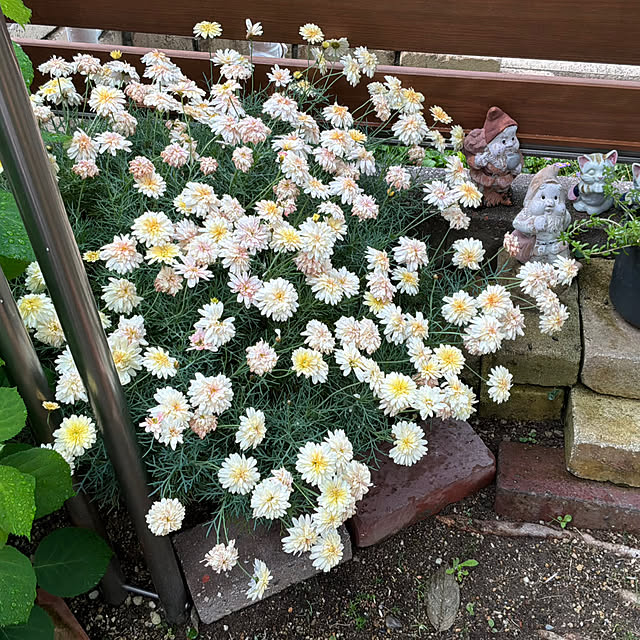 haruminさんの部屋