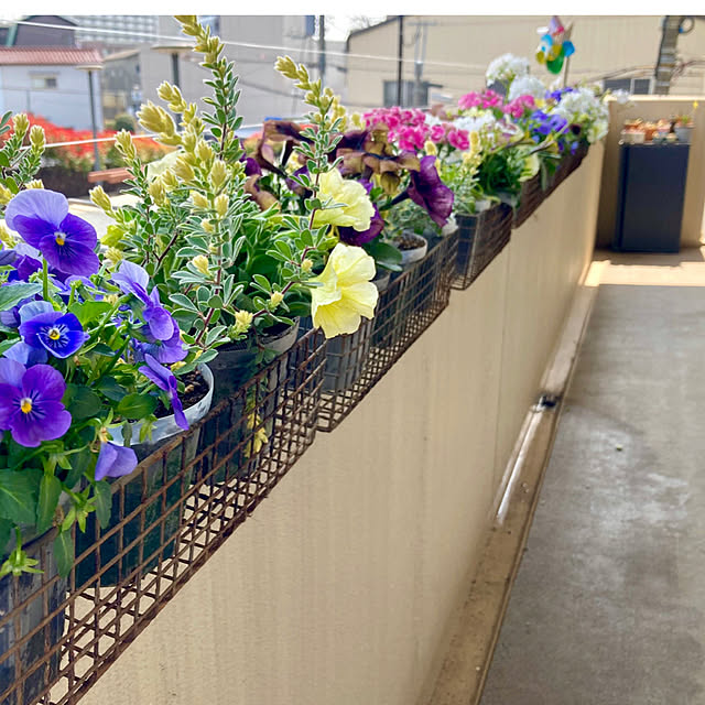 marukoさんの部屋