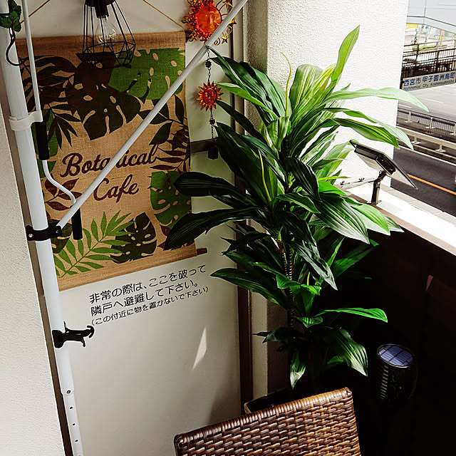 kztさんの実例写真