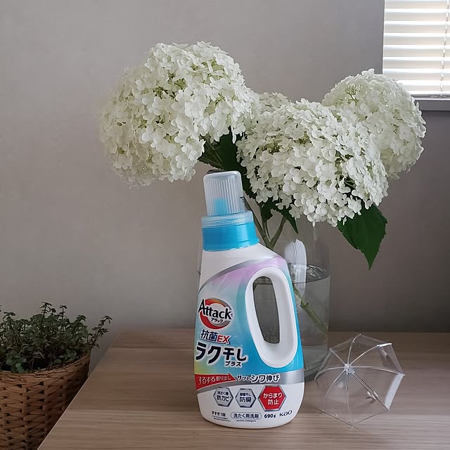 wanidaさんの実例写真
