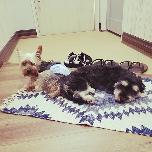 fujioさんの実例写真