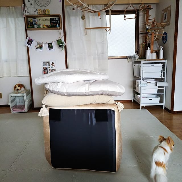 toratanさんの実例写真