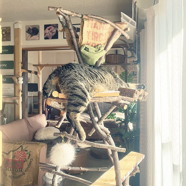 Mさんの部屋