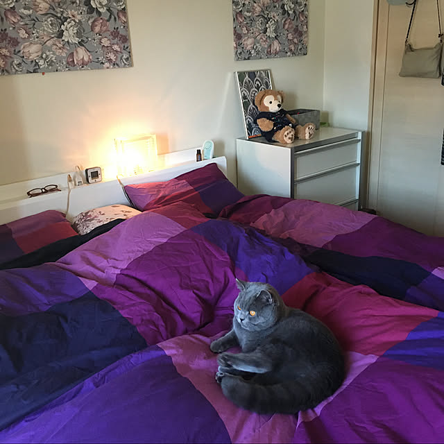 kittyさんの実例写真