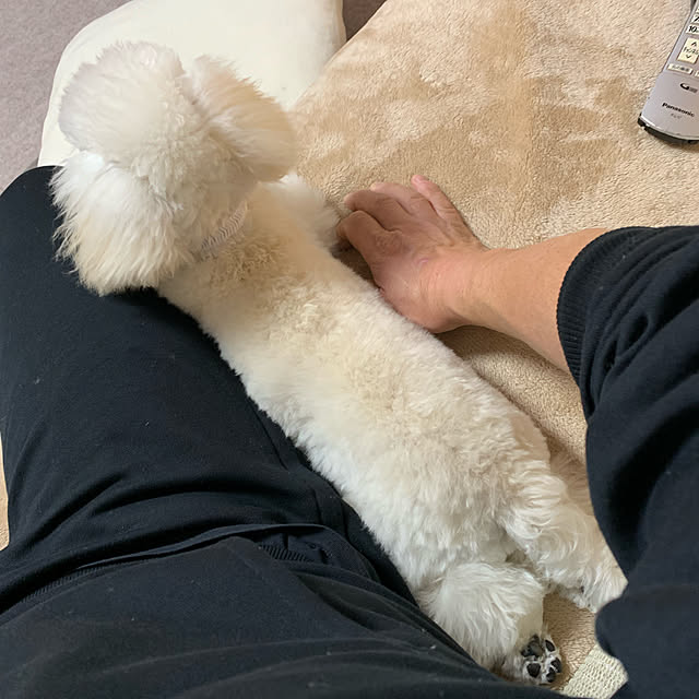 BUNさんの実例写真
