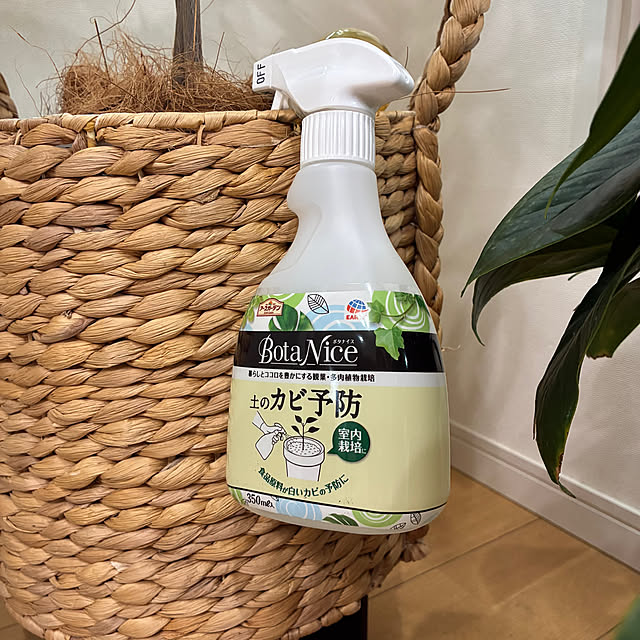 dmamaさんの部屋