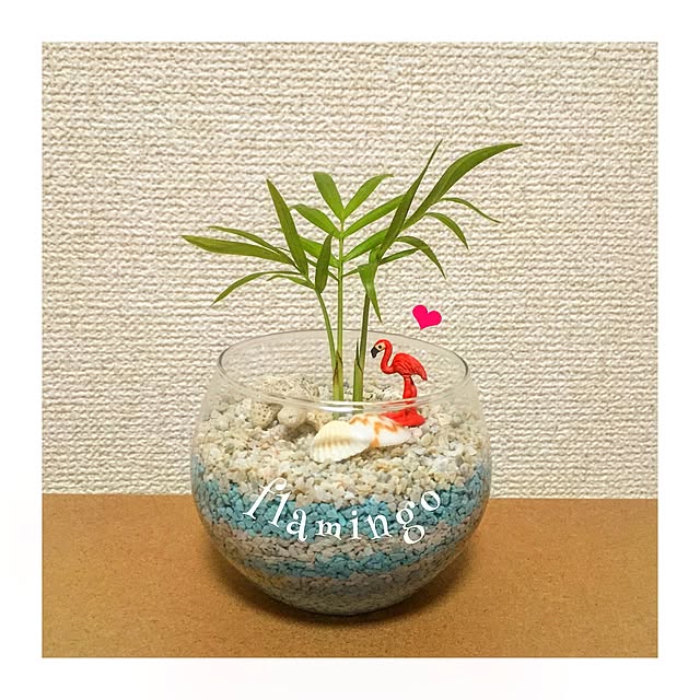 gizumiiiiiさんの実例写真