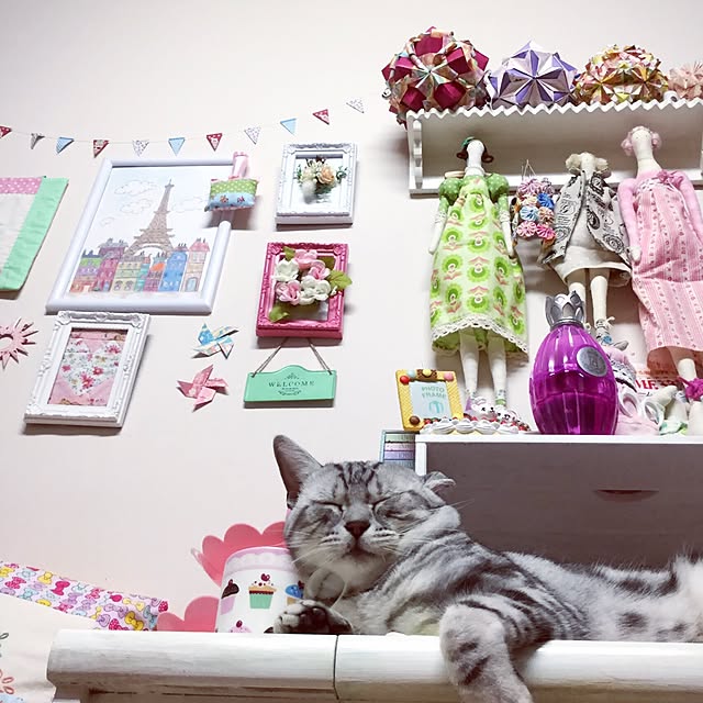 Sueさんの実例写真