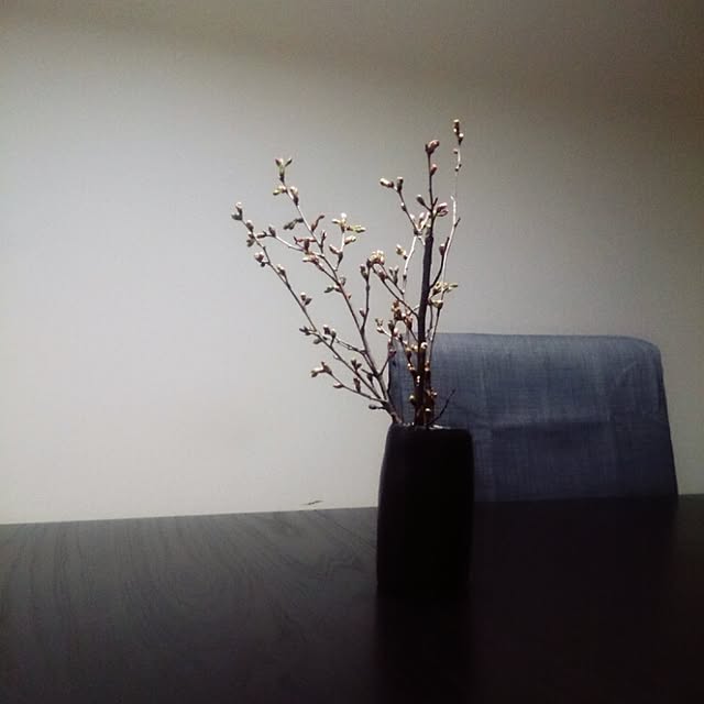 kkkoさんの実例写真