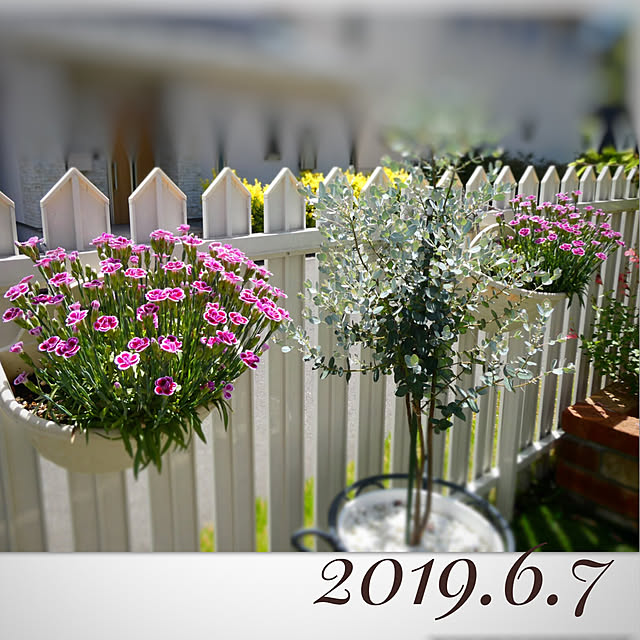 Michiさんの実例写真