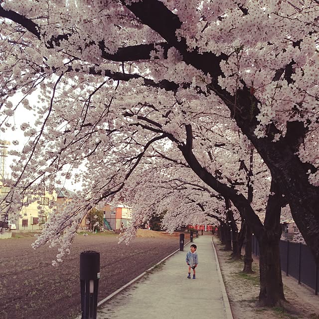 実例写真