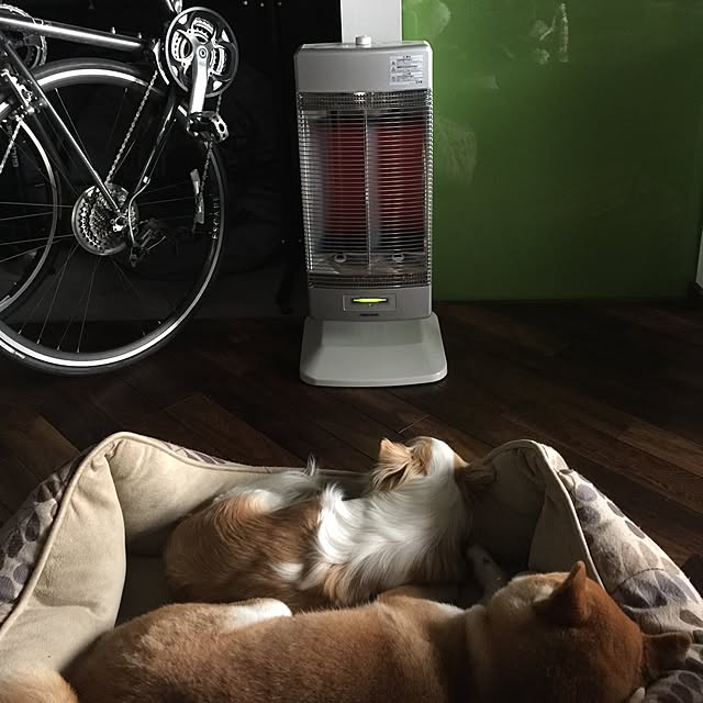 Makikoさんの実例写真