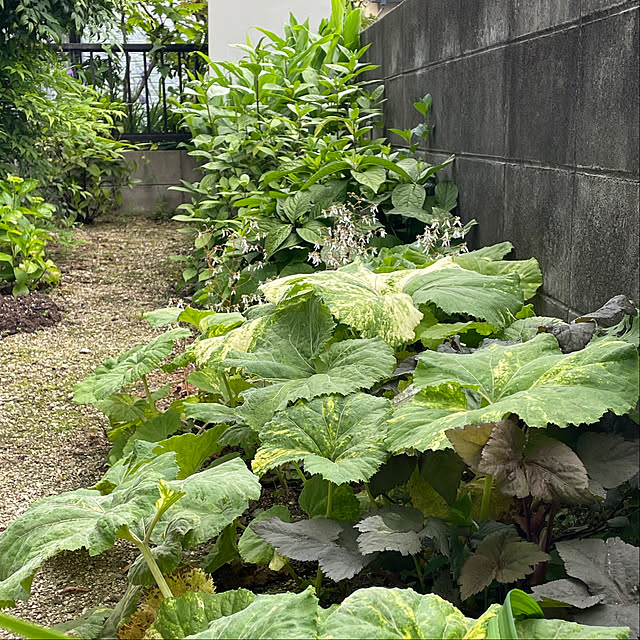 nobikoさんの実例写真
