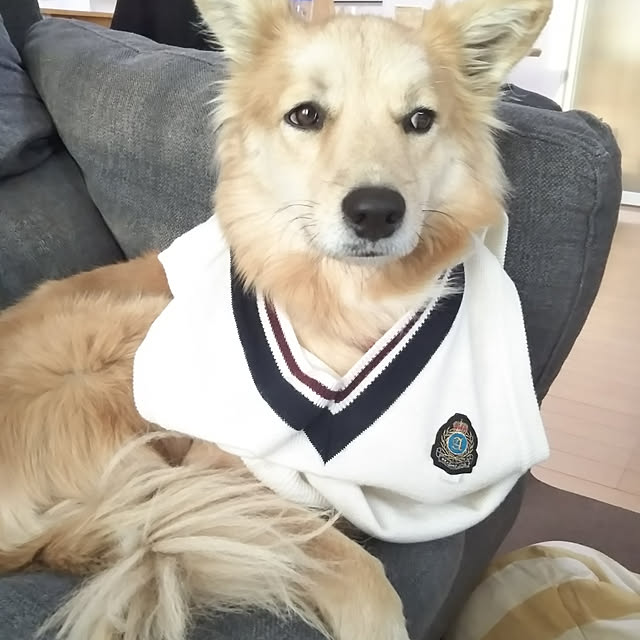 kaoriさんの実例写真