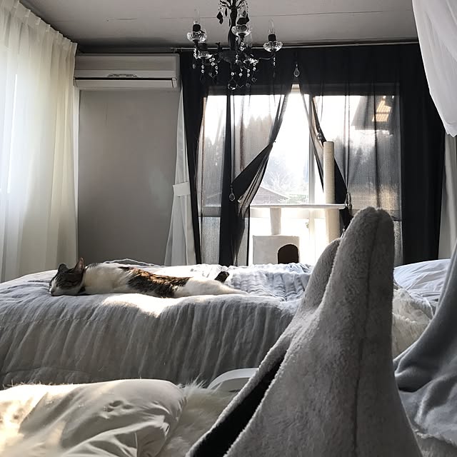 Shihoさんの実例写真