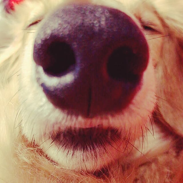 mariaさんの実例写真