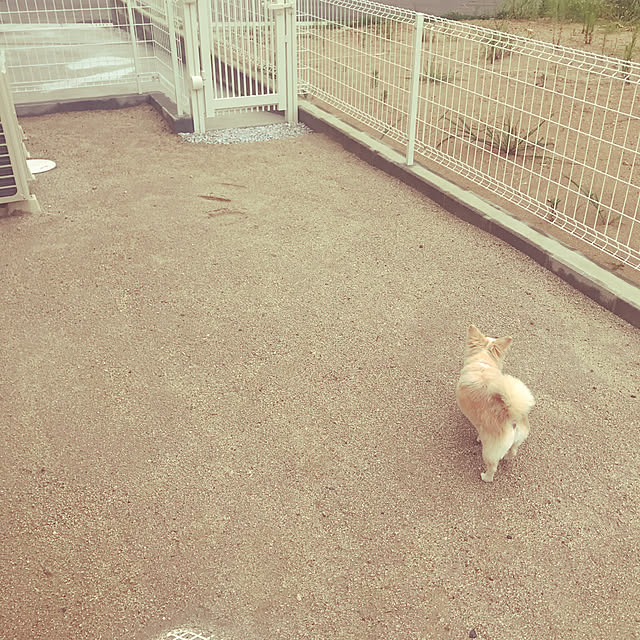 Sweetpeaさんの実例写真
