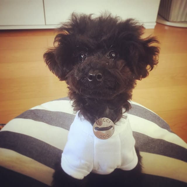 megさんの実例写真