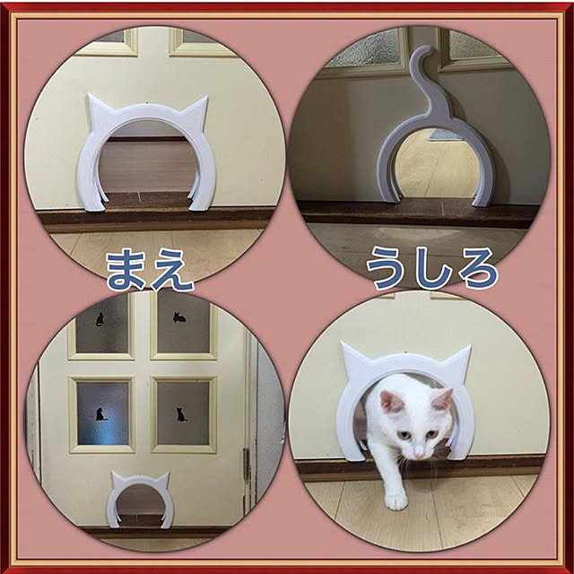 kuntaさんの実例写真