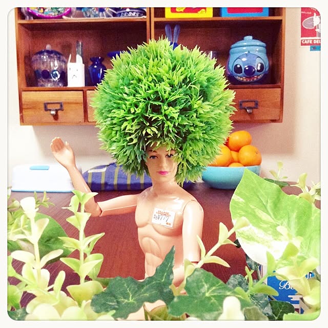 aohaさんの実例写真