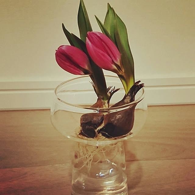 部屋全体のインテリア実例 - 2017-01-14 23:21:48